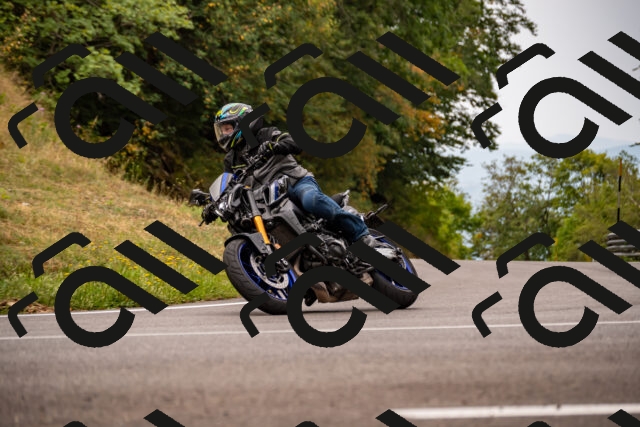 202508171006-_DSC4693_d2_