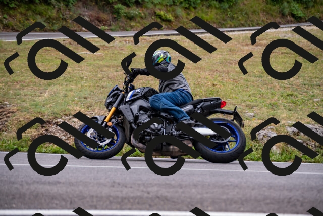 202508171006-_DSC4694_d2_