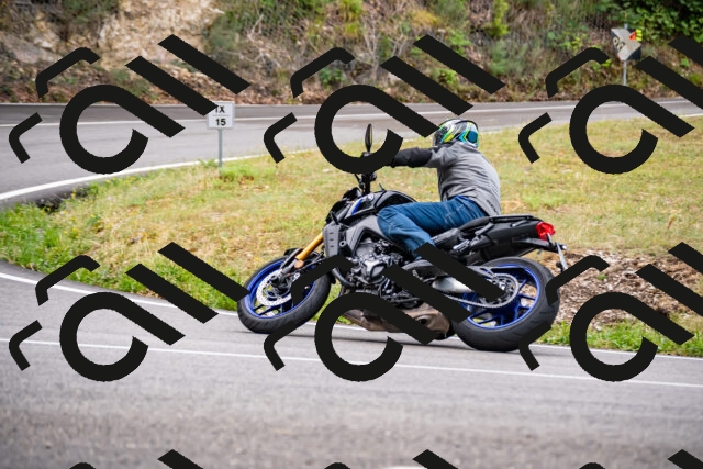 202508171006-_DSC4695_d2_