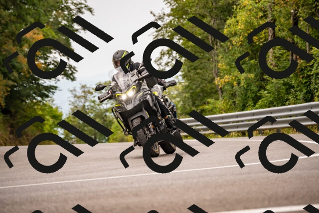 202508171009-_DSC4697_d2_