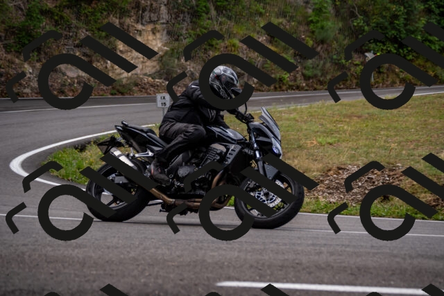 202508171013-_DSC4704_d2_