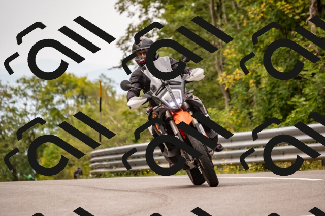 202508171014-_DSC4709_d2_