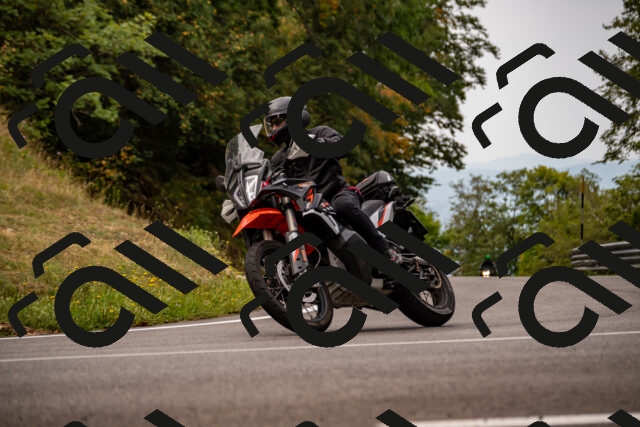 202508171014-_DSC4710_d2_