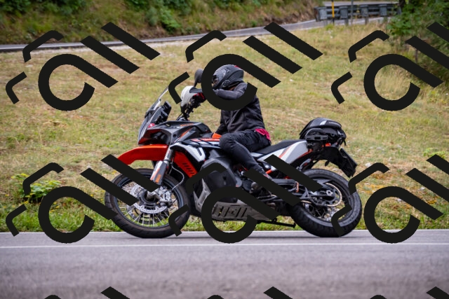 202508171014-_DSC4711_d2_