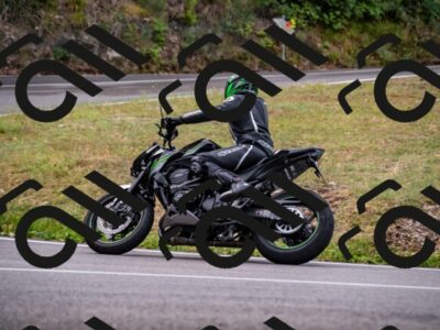 202508171014-_DSC4716_d2_