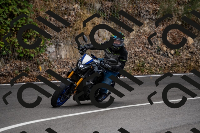 202508171020-_DSC4717_d2_