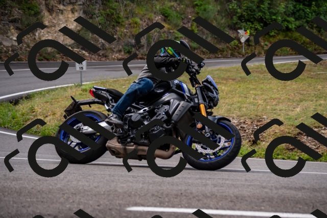 202508171020-_DSC4719_d2_