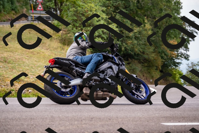 202508171020-_DSC4720_d2_