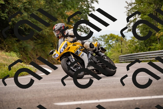 202508171022-_DSC4729_d2_