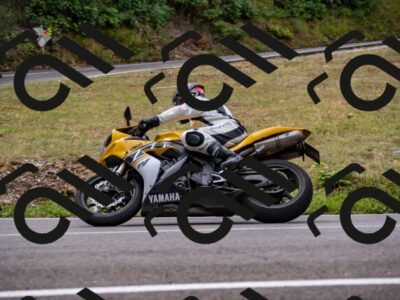 202508171022-_DSC4730_d2_