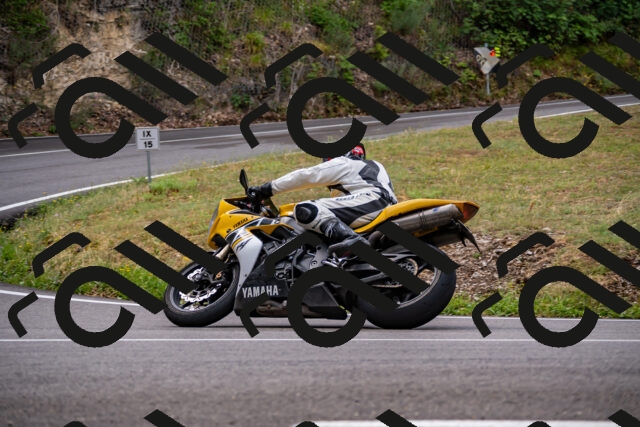 202508171022-_DSC4731_d2_