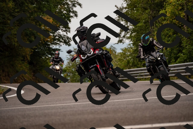 202508171031-_DSC4738_d2_