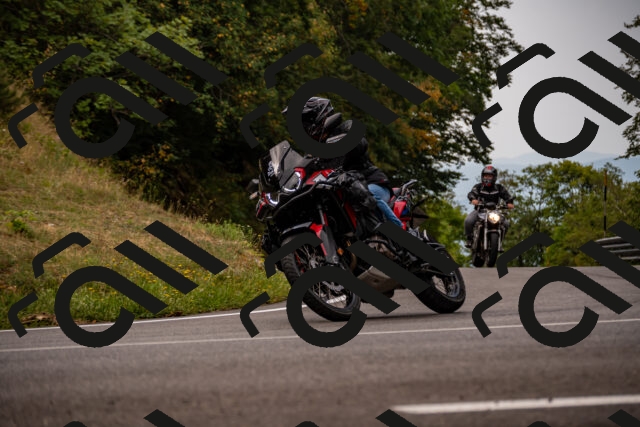 202508171031-_DSC4739_d2_