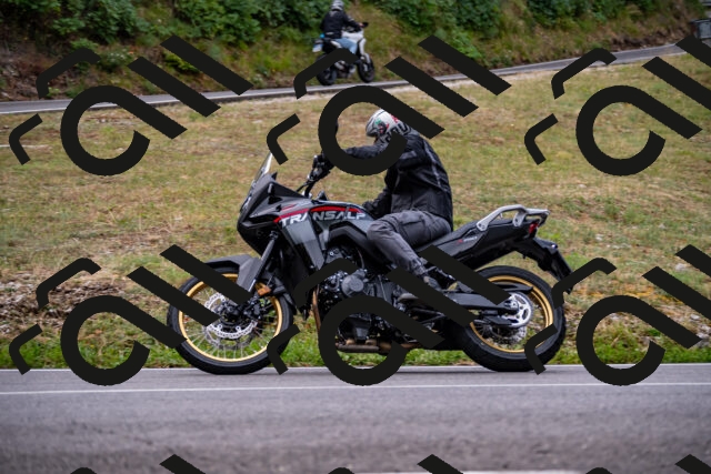 202508171032-_DSC4761_d2_