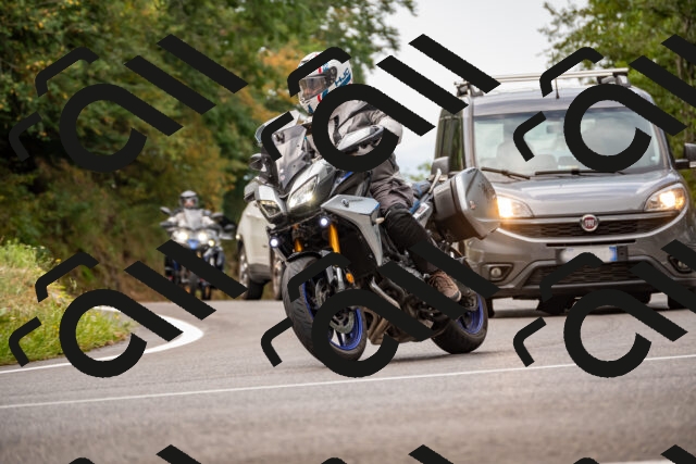 202508171033-_DSC4762_d2_