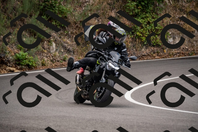 202508171035-_DSC4772_d2_