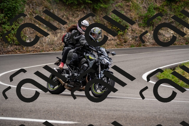 202508171035-_DSC4773_d2_