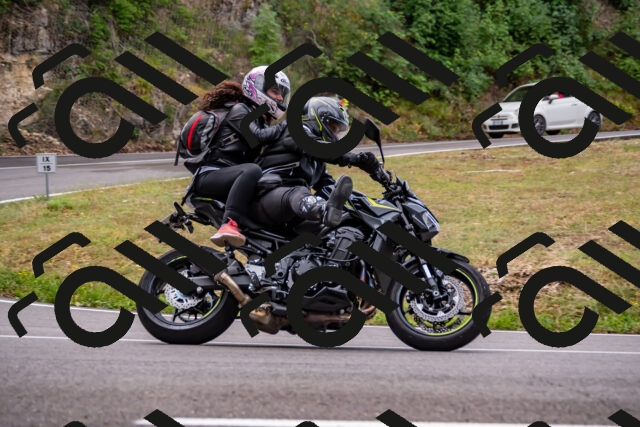 202508171035-_DSC4774_d2_