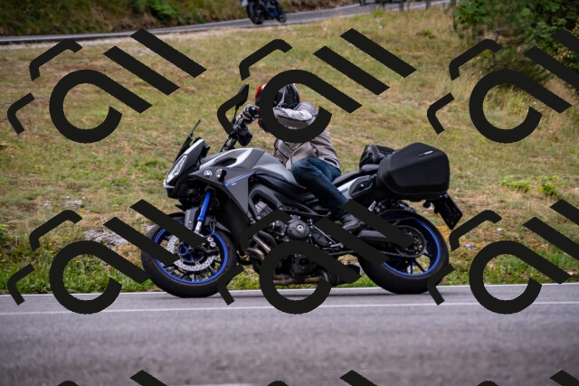 202508171036-_DSC4781_d2_