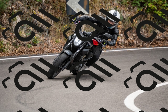 202508171037-_DSC4784_d2_