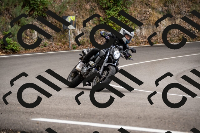 202508171037-_DSC4785_d2_