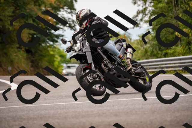 202508171037-_DSC4789_d2_