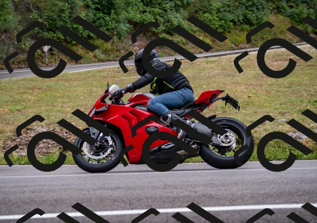 202508171041-_DSC4803_d2_