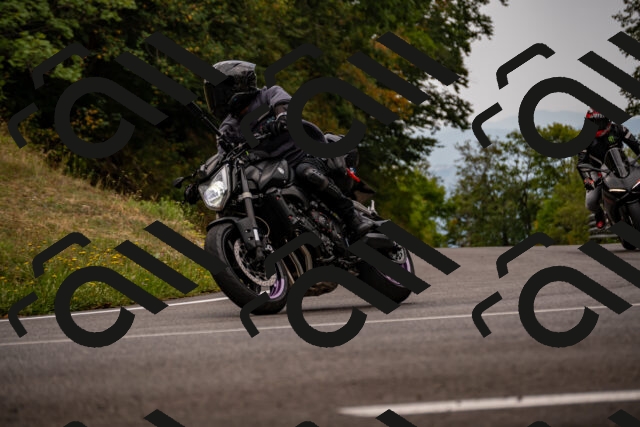 202508171041-_DSC4804_d2_