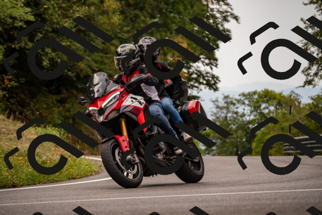 202508171042-_DSC4810_d2_