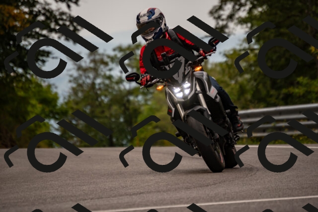 202508171042-_DSC4816_d2_