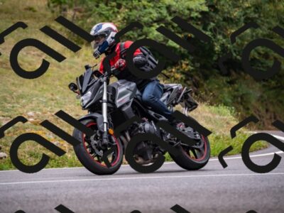 202508171042-_DSC4817_d2_