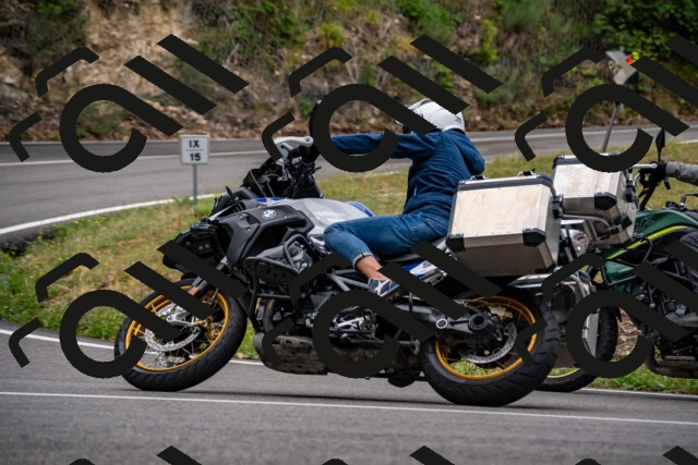 202508171046-_DSC4834_d2_