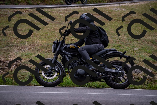 202508171046-_DSC4846_d2_