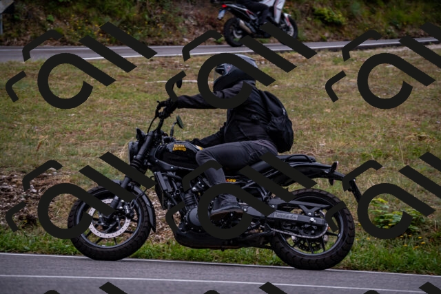 202508171046-_DSC4847_d2_