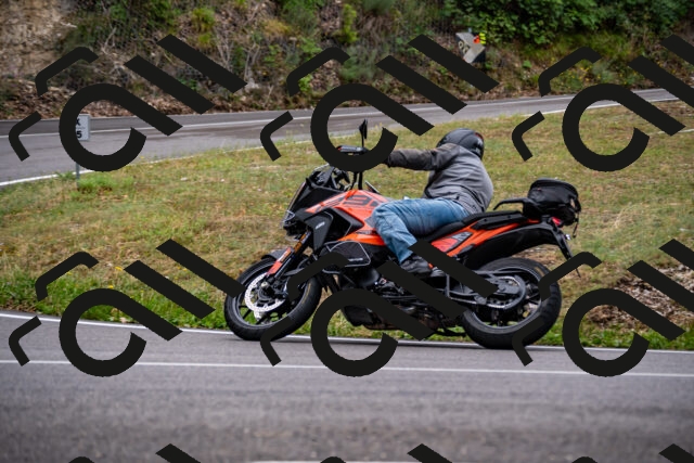 202508171046-_DSC4853_d2_