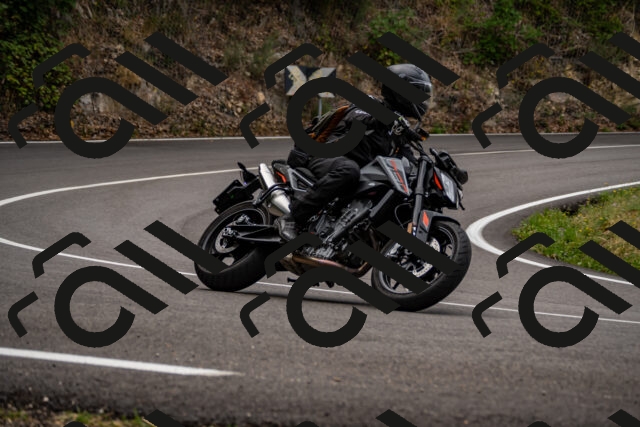 202508171050-_DSC4875_d2_