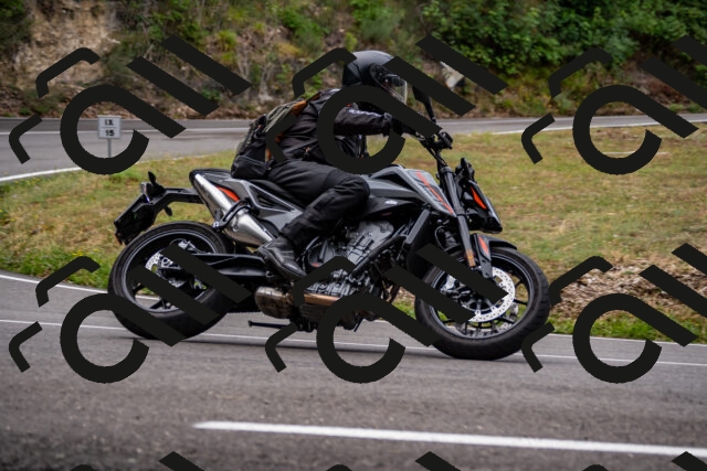 202508171050-_DSC4876_d2_