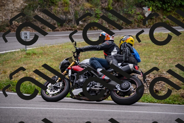 202508171050-_DSC4880_d2_