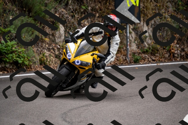 202508171051-_DSC4890_d2_