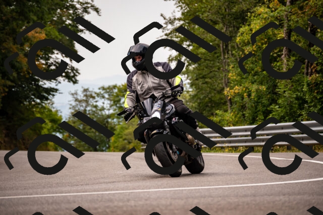 202508171052-_DSC4893_d2_