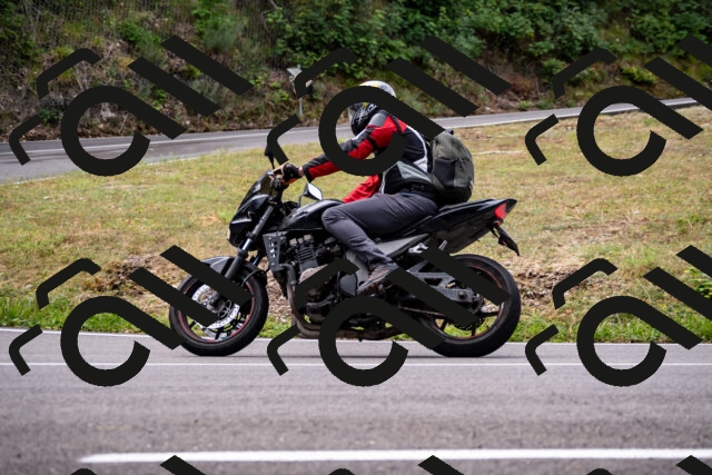 202508171053-_DSC4901_d2_