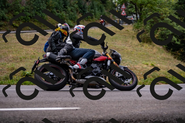 202508171053-_DSC4905_d2_