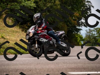 202508171101-_DSC4961_d2_