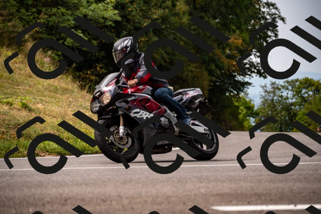 202508171101-_DSC4961_d2_