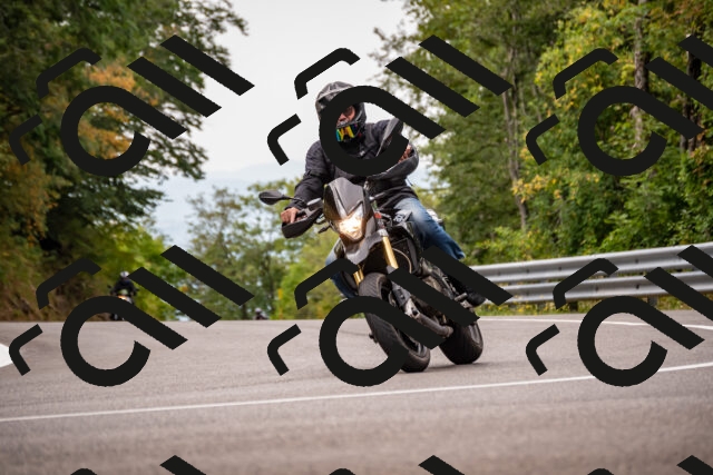 202508171108-_DSC4971_d2_