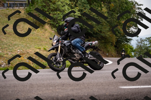 202508171108-_DSC4972_d2_