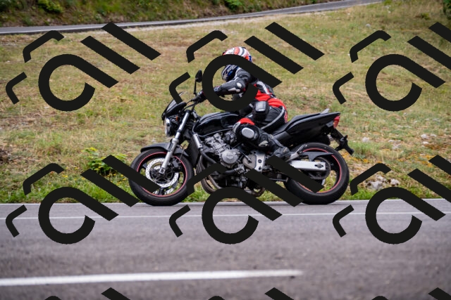 202508171108-_DSC4977_d2_