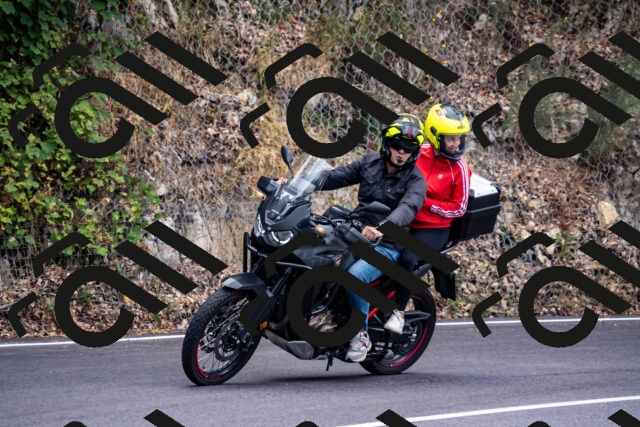 202508171113-_DSC4979_d2_