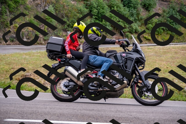 202508171113-_DSC4982_d2_