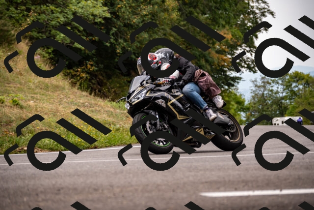 202508171114-_DSC4984_d2_